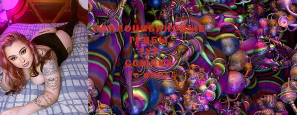 индика Кукмор