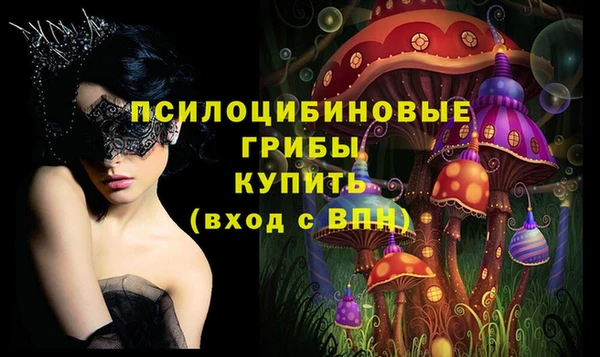 таблы Краснослободск