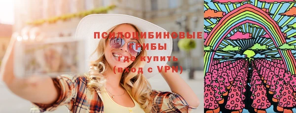 таблы Краснослободск