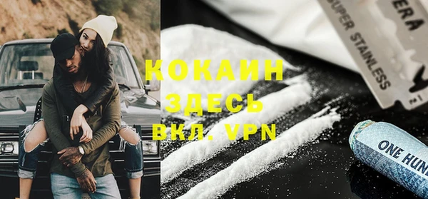 индика Кукмор