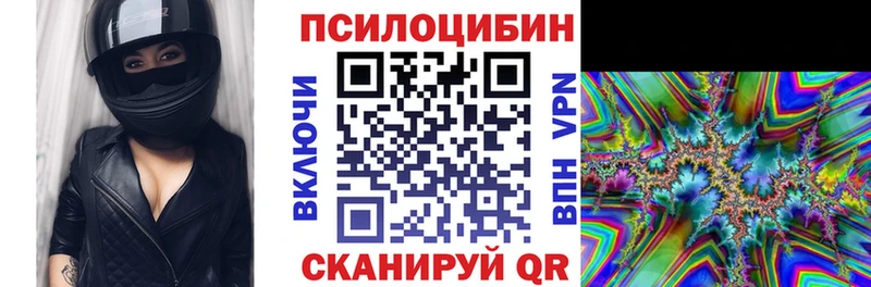 где найти наркотики  дарк нет Telegram  Псилоцибиновые грибы GOLDEN TEACHER  Мензелинск 